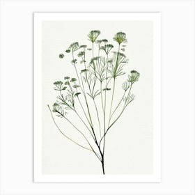 Caraway Herb Minimalist Watercolour 1 Art Print