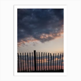 Sitting On The Fence Art Print