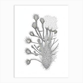 Rhipsalis Cactus William Morris Inspired 1 Art Print