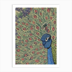 Peacock 36 Art Print