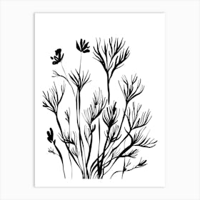 Black And White Drawing Of Plants Art Print