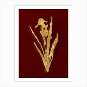 Vintage Tall Bearded Iris Botanical in Gold on Red n.0373 Art Print