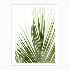 Palm Olive Art Print