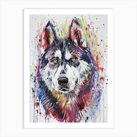 Siberian Husky Acrylic Painting 8 Art Print