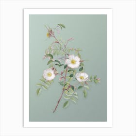 Vintage Reddish Rosebush Botanical Art on Mint Green n.0985 Art Print