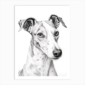 Whippet Dog, Line Drawing 3 Art Print