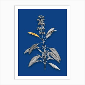 Vintage Sage Plant Black and White Gold Leaf Floral Art on Midnight Blue n.0039 Art Print