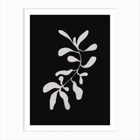 Floral Black And White Art Print