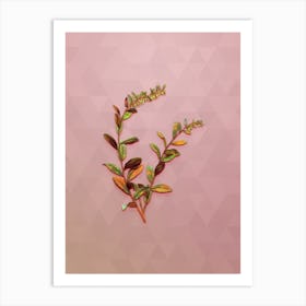 Vintage Andromeda Marginata Bloom Botanical Art on Crystal Rose Art Print