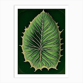 Betel Leaf Vintage Botanical 1 Art Print