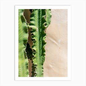 Detail Of A Cactus In The Sun Art Print