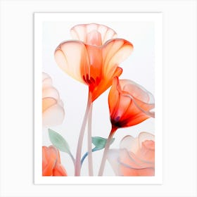 Chinese Glass Flowers Art Print