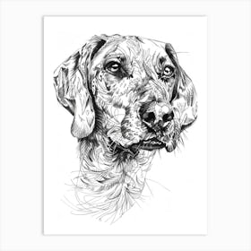 Plott Hound Dog Line Sketch 1 Art Print