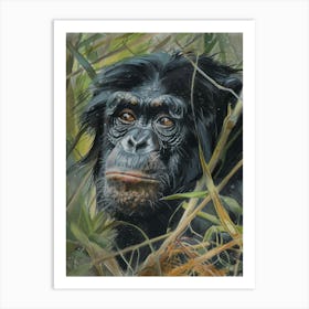 Bonobo Pastel Watercolour 2 Poster