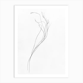 Drawing Of A Flower Art Print