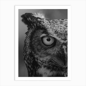 Owl Bird Art Print