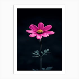 Cosmos Flower 5 Art Print