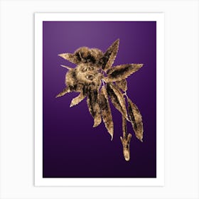 Gold Botanical Spanish Chestnut on Royal Purple n.1365 Art Print