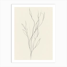 Twigs Art Print