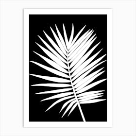 White Palm Leaf On Black Background Art Print