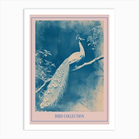 Peacock In The Tree Cyanotype Inspired 2 Poster Art Print