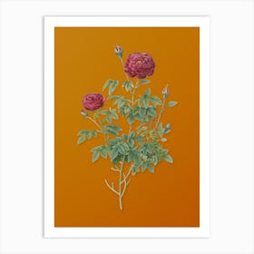 Vintage Burgundy Cabbage Rose Botanical on Sunset Orange n.0898 Art Print