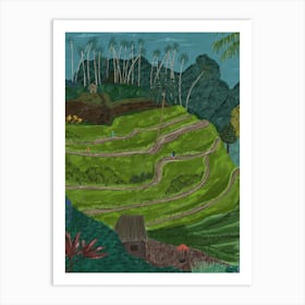 Bali Rice Terraces Art Print