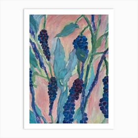 Boysenberry Classic Fruit Art Print