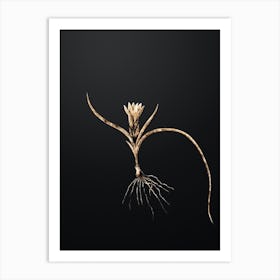 Gold Botanical Ixia Recurva on Wrought Iron Black Art Print