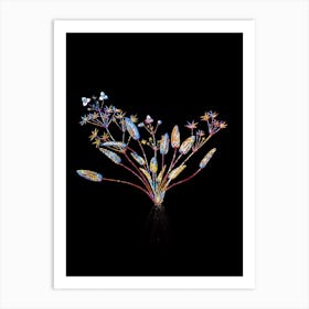 Stained Glass Starfruit Mosaic Botanical Illustration on Black n.0126 Art Print