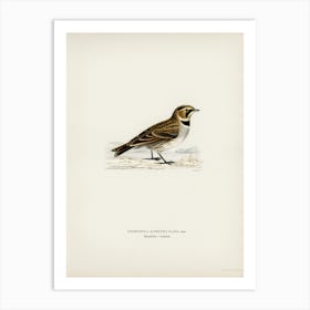 Horned Lark, The Von Wright Brothers Art Print