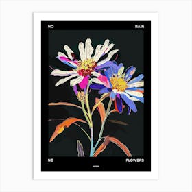 No Rain No Flowers Poster Asters 6 Art Print