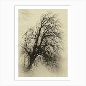 Bare Tree Art Print