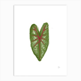 caladium Art Print