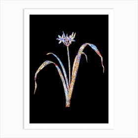 Stained Glass Small Flowered Pancratium Mosaic Botanical Illustration on Black n.0271 Art Print