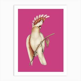 Cockatoo - Bubblegum Art Print