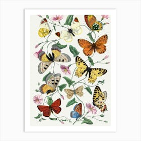 Butterflies And Flowers Art Print