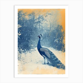 Orange & Blue Peacock In A Snow Scene 3 Art Print