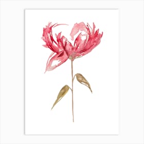 Pink Flower Art Print