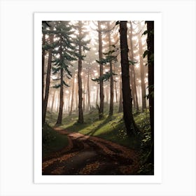 Forest Path Art Print