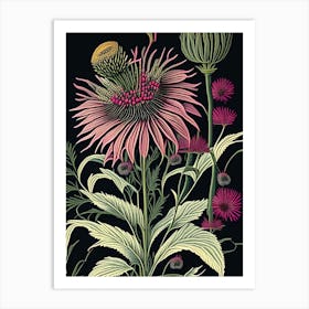Echinacea 2 Floral Botanical Vintage Poster Flower Art Print