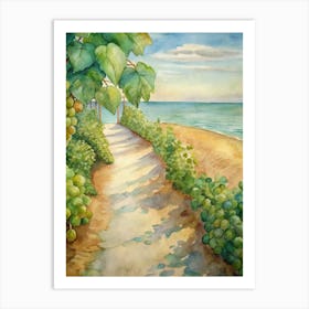 Path To The Beach Art Print