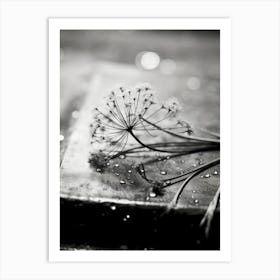 Monochrome Impression Art Print