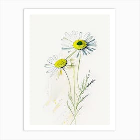 Chamomile Herb Minimalist Watercolour 1 Art Print