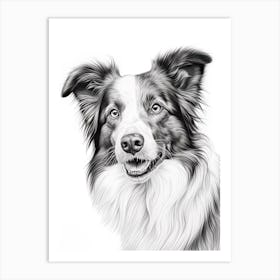 Border Collie Dog, Line Drawing 3 Art Print