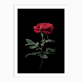 Single Red Rose On Black Background 40 Art Print