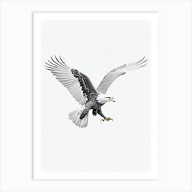 Eagle B&W Pencil Drawing 2 Bird Art Print