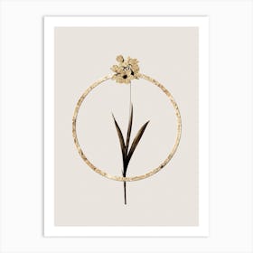 Gold Ring Ixia Maculata Glitter Botanical Illustration n.0014 Art Print