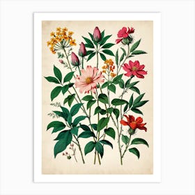 Botanical Print 1 Art Print