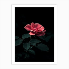 Dark Rose 7 Art Print